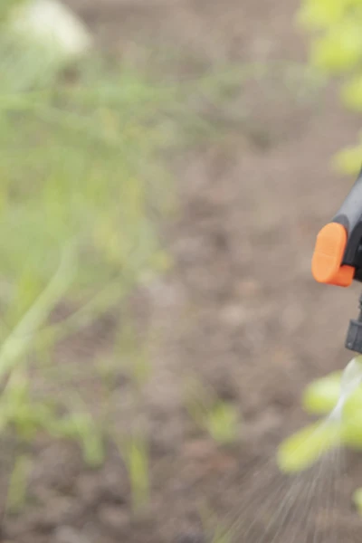 Tecnologia de aplicação de defensivos agrícolas na olericultura.